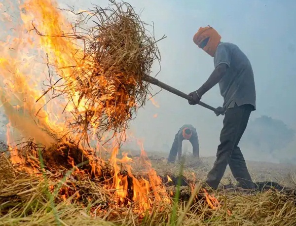 Agriculture