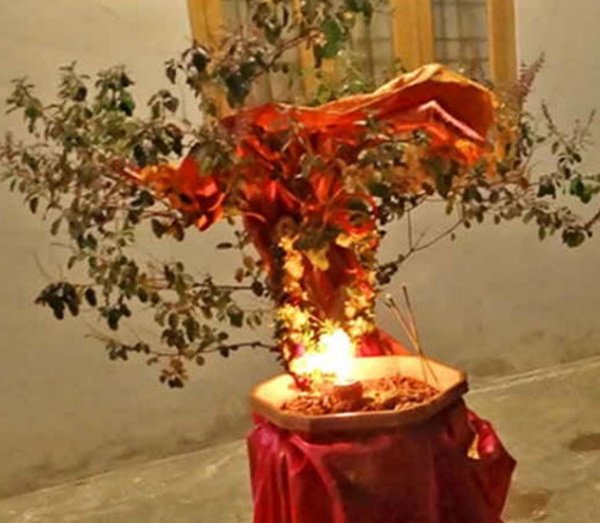 Tulsi Vivah