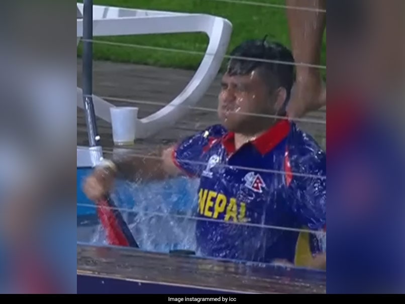 Watch: Nepal Fan Jumps Into Pool To Celebrate Bangladesh Stars Wicket In T20 World Cup Match