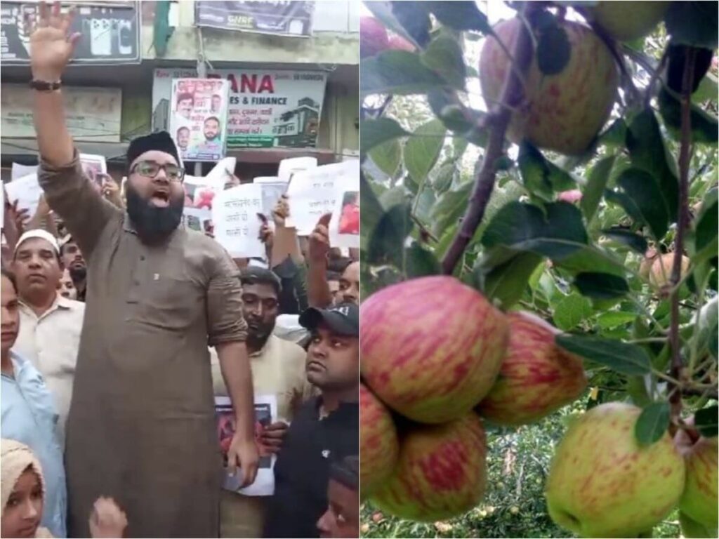 AIMIM नेता ने मुस्लिम व्यापारियों से की हिमाचल के सेब का बहिष्कार करने की अपील, होश में आएं