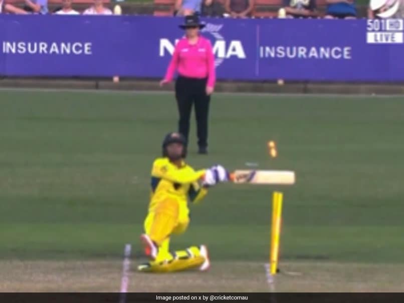 Australia Star Gets Hit-Wicket While Slamming A Six, Yet Given Not Out. Heres Why