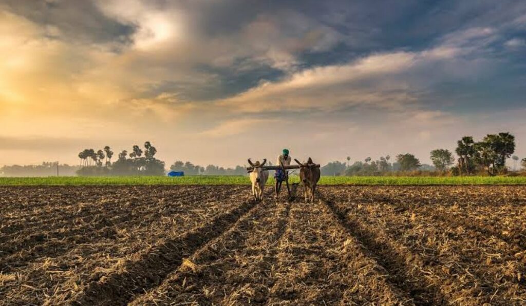 किसान सम्मान निधि योजना से वंचित किसानों के लिए विशेष अभियान चलाया जाएगा