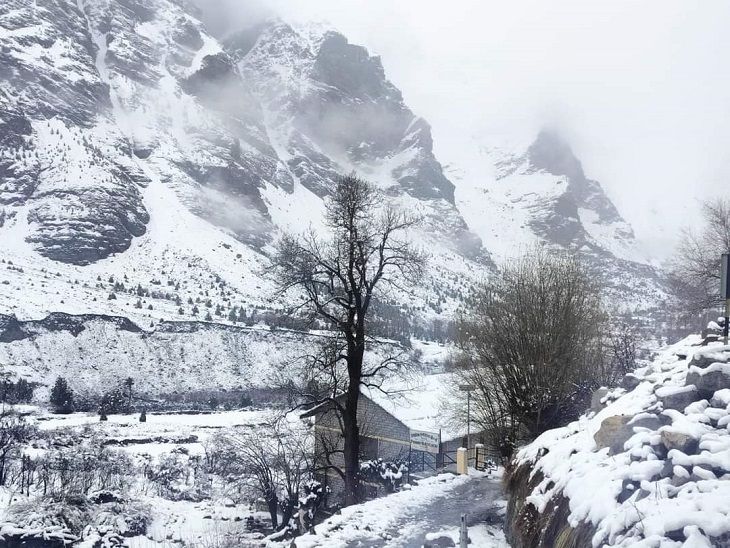 हिमाचल में ताजा बर्फबारी और बारिश: ओलावृष्टि से सेब बर्बाद;  गेहूं संकट, कल के लिए फिर ऑरेंज अलर्ट, किसान-बागवान चिंतित- शिमला न्यूज़