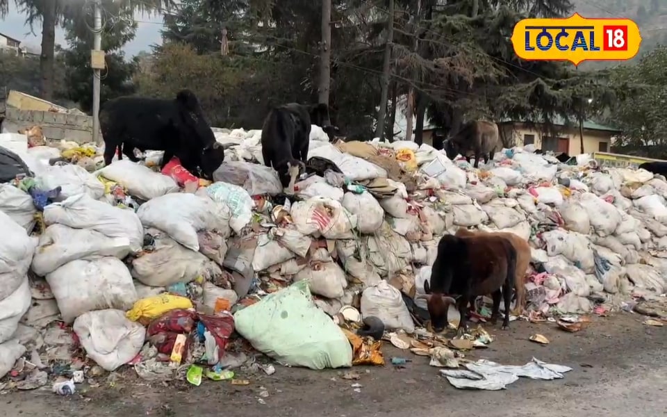 कूड़े के ढेर कुल्लू की सुंदरता को लगातार खराब कर रहे हैं और आम जनता परेशान है।